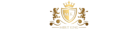 Meritking logo2